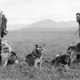Image for article titled These Dogs are Honorary Geologists for Their Early Exploration of Alaska